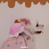 脫窗PAPA冰